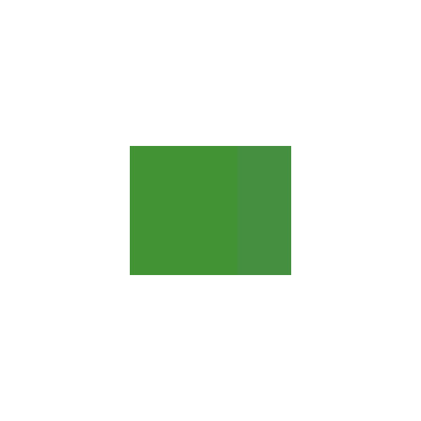 Gouache - Extra-fine - Vert oxyde chrome - 542 - Lefranc Bourgeois - Linel - 14ml