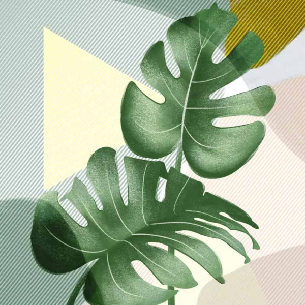 photo-Peinture au numéro - Adulte/Enfant - Modèle feuilles - 30x40cm - Toile + peinture + pinceaux