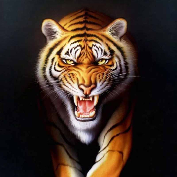 photo-Peinture au numéro - Adulte/Enfant - Modèle tigre - 50x40cm - Toile + peinture + pinceaux