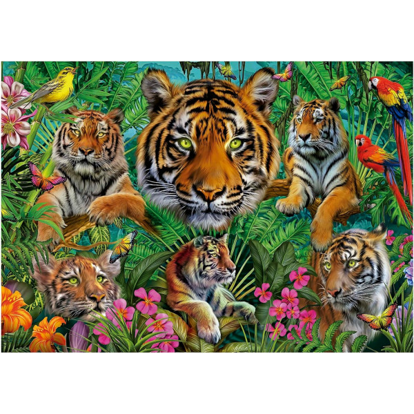 Puzzle - 500 pièces - Les tigres dans la jungle - 48x34cm - Adulte/Enfant - Educa