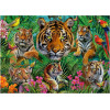 Puzzle - 500 pièces - Les tigres dans la jungle - 48x34cm - Adulte/Enfant - Educa
