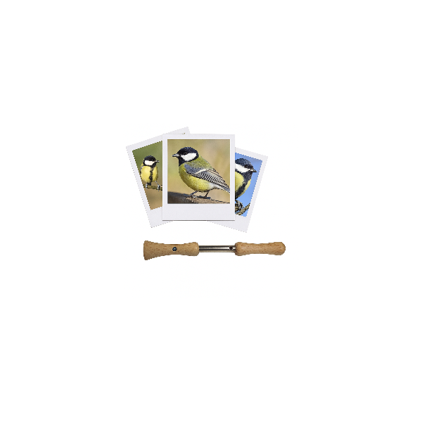 photo-Appeau - Oiseau - Mésange Charbonnière - Chant oiseau - Bois - 10cm