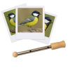 photo-Appeau - Oiseau - Mésange charbonnière - Imiter le chant des oiseaux - Fuzeau