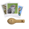 photo-Appeau - Oiseau - Coucou Gris - Chant oiseau - Bois - 11cm