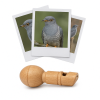 photo-Appeau - Oiseau - Coucou - Imiter le chant des oiseaux - Fuzeau