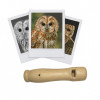 photo-Appeau - Oiseau - Chouette Hulotte - Chant oiseau - Bois - 13cm