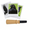 photo-Appeau - Oiseau - Corneille noire - Chant oiseau - Bois - 12cm