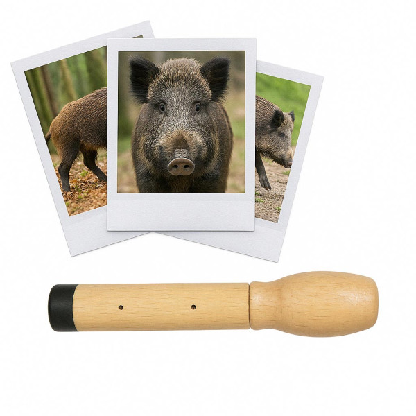 photo-Appeau - Animal - Sanglier - Cochon - Imiter le bruit des animaux - Fuzeau