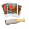 photo-Appeau - Oiseau - Poule - Imiter le chant des oiseaux - Fuzeau