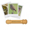 photo-Appeau - Oiseau - Chouette Chevêche - Chant oiseau - Bois - 10cm