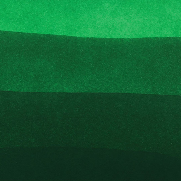 Encre pour calligraphie - Vert Amazone - Les encres essentielles - Herbin - Flacon 50ml