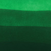 Encre pour calligraphie - Vert Amazone - Les encres essentielles - Herbin - Flacon 50ml
