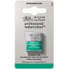 photo - Aquarelle Professionnelle Extra-Fine - 1/2 Godet - Vert de Guignet - 696 - Winsor Et Newton