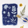Papier pour cyanotype - A4 - 300 g/m² - 10 feuilles - Clairefontaine