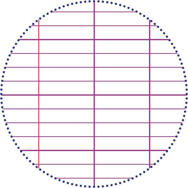 Cahier - Index - 4 en 1 - 17x22cm - Grands carreaux - 96 pages - Couverture polypro - Sans spirale - Clairefontaine