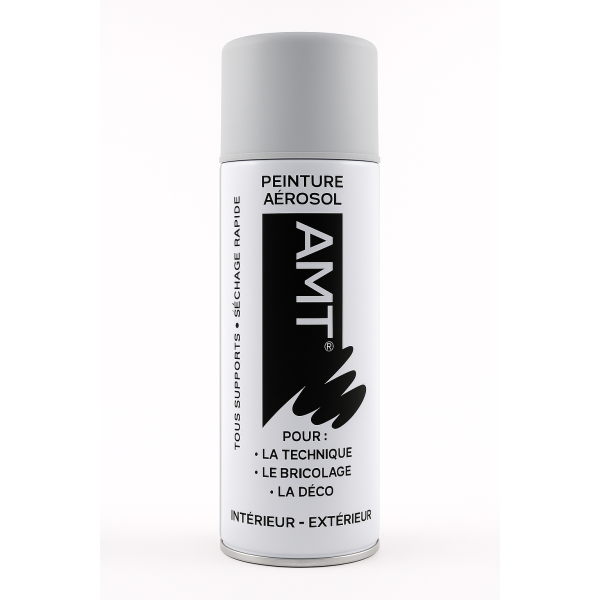 photo - Bombe de peinture - Galet mat - AMT - 330ml