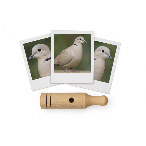 photo-Appeau - Oiseau - Tourterelle - Chant oiseau - Bois - 11cm