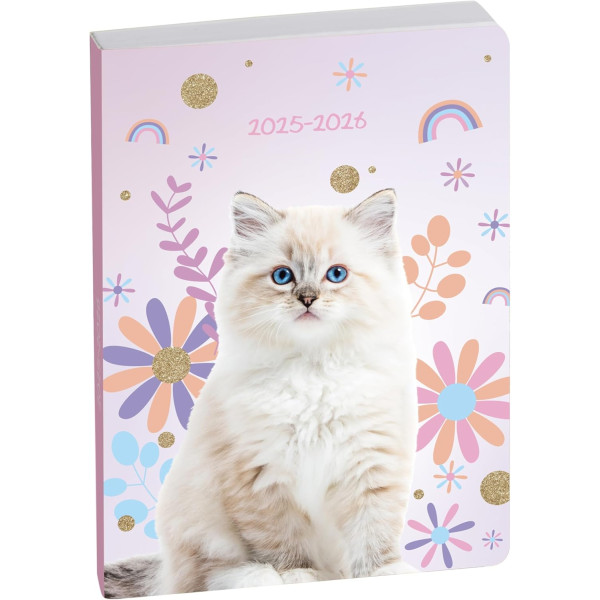 photo-Agenda - 2025/2026 - Scolaire - Chat - 1page par jour - Septembre à septembre - Forum Animaux