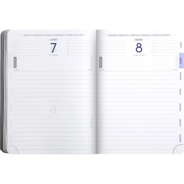 Agenda - 2025/2026 - Scolaire - Chat - 1page par jour - Septembre à septembre - Forum Animaux