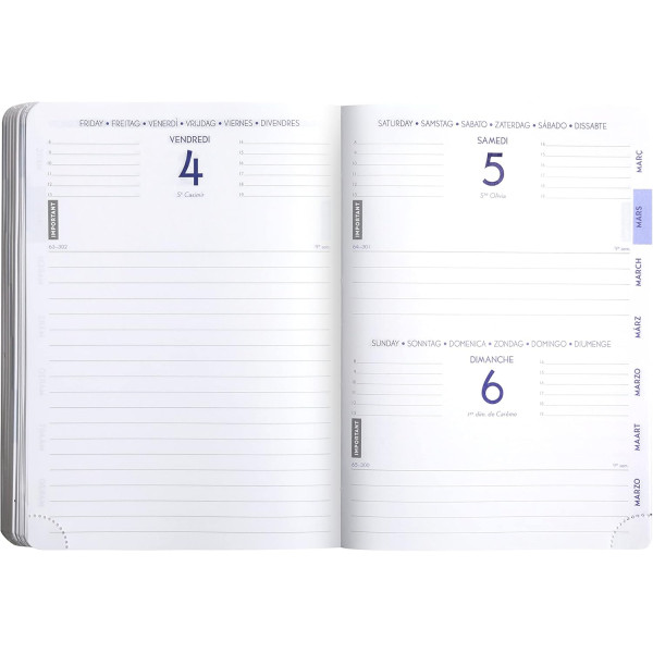 Agenda - 2025/2026 - Scolaire - Chat - 1page par jour - Septembre à septembre - Forum Animaux