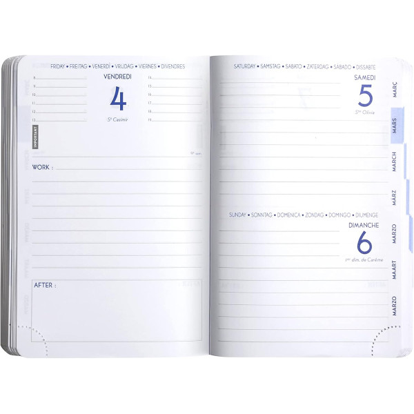 Agenda - 2026/2027 - Scolaire - Vert menthe - 1 page par jour - 10x15cm - Forum