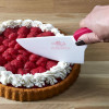 Couteau à pâtisserie - Pelle à tartes à et gâteaux - Anti-rayures - Couleurs aléatoires