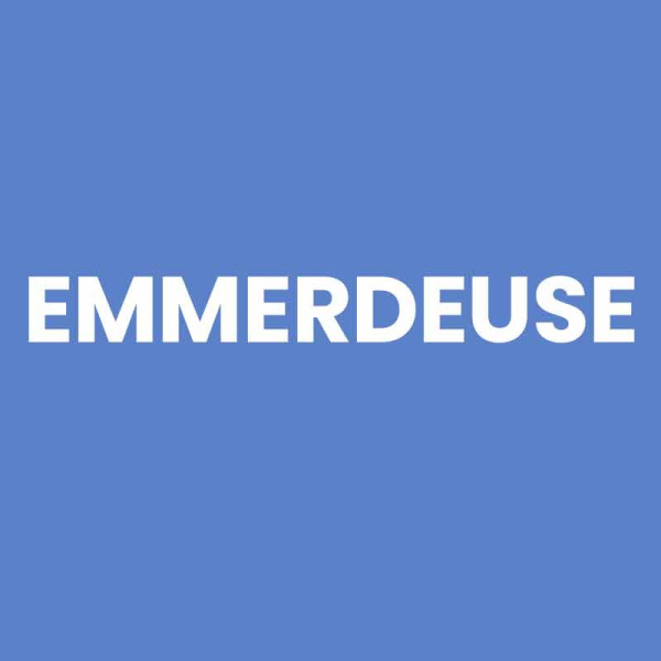 Chaussettes - Femme - Bleu avec paillettes - Emmerdeuse - Taille 36/42 - Humour - Cadeau