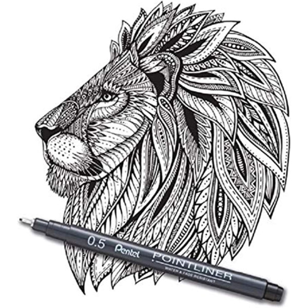 Pochette de 5 feutres de dessin - Pointliner - Dessin et écriture - Assortiment - Pentel Arts