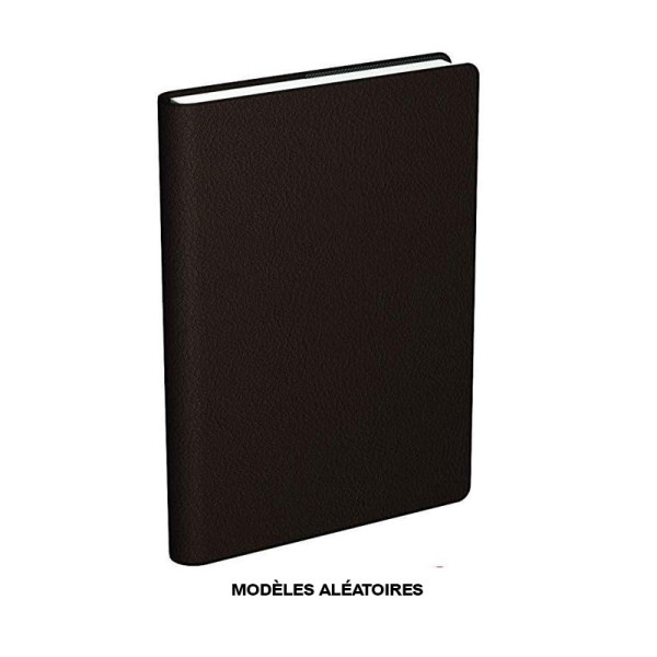 Agenda - Scolaire - 1 jour par page - 2026/2027 - 12x18cm - Couverture polypro