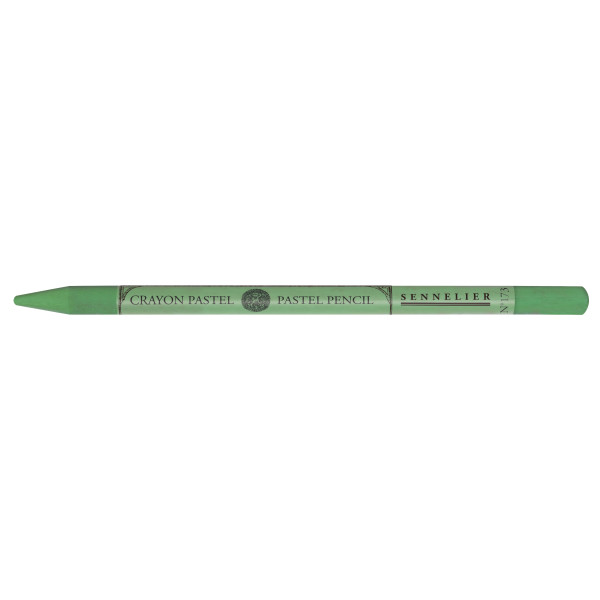 photo-Crayon pastel - Gris vert mousse - 173 - Sans bois - Sennelier