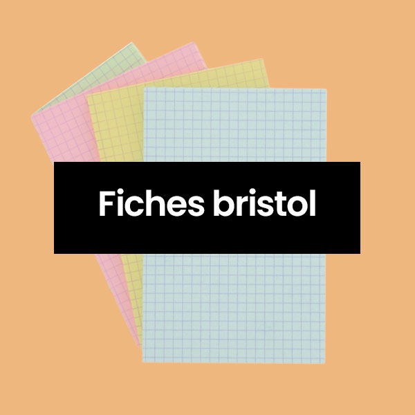 Fiches bristol exacompta