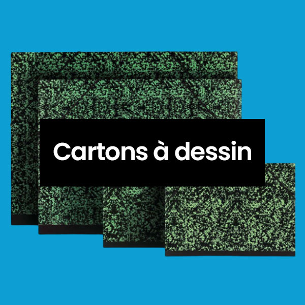 Cartons à dessin exacompta